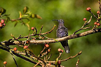 《暗黑破坏神4》XSX支持原生4K＆60FPS